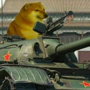 Meet your Posher, Viet